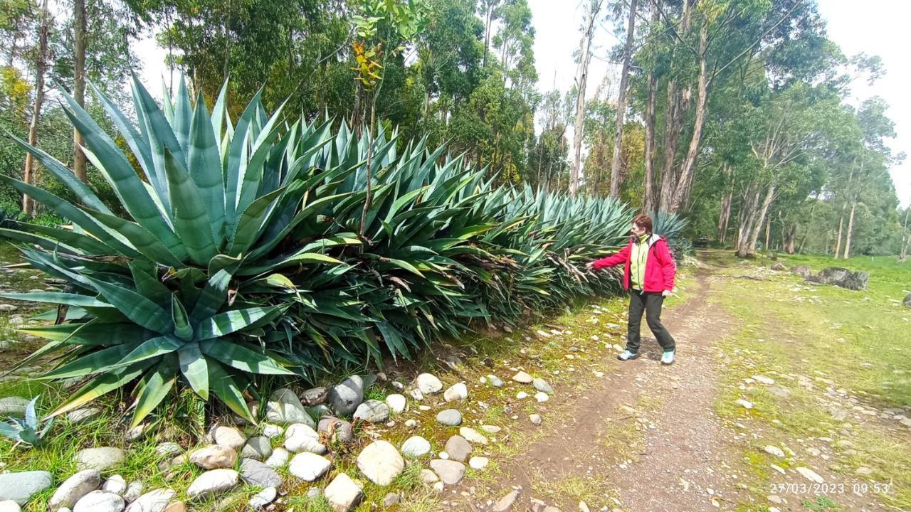 Pousada Villa Huaripampa Jauja Exteriér fotografie