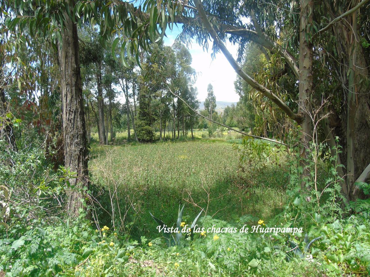 Pousada Villa Huaripampa Jauja Exteriér fotografie